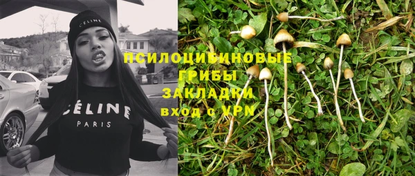 не бодяженный Няндома