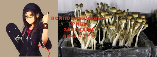 твердый Осташков