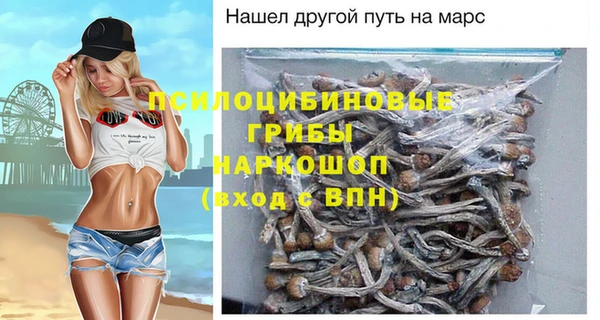 хмурый Нязепетровск