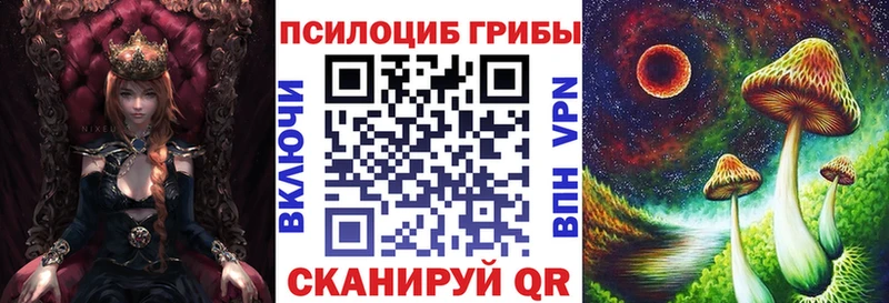 Псилоцибиновые грибы GOLDEN TEACHER  сколько стоит  Петровск-Забайкальский 